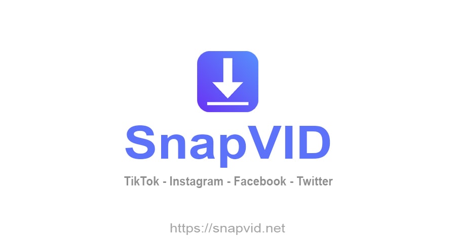 T l chargeur TikTok T l charger La Vid o TikTok Sans Filigrane SnapVid